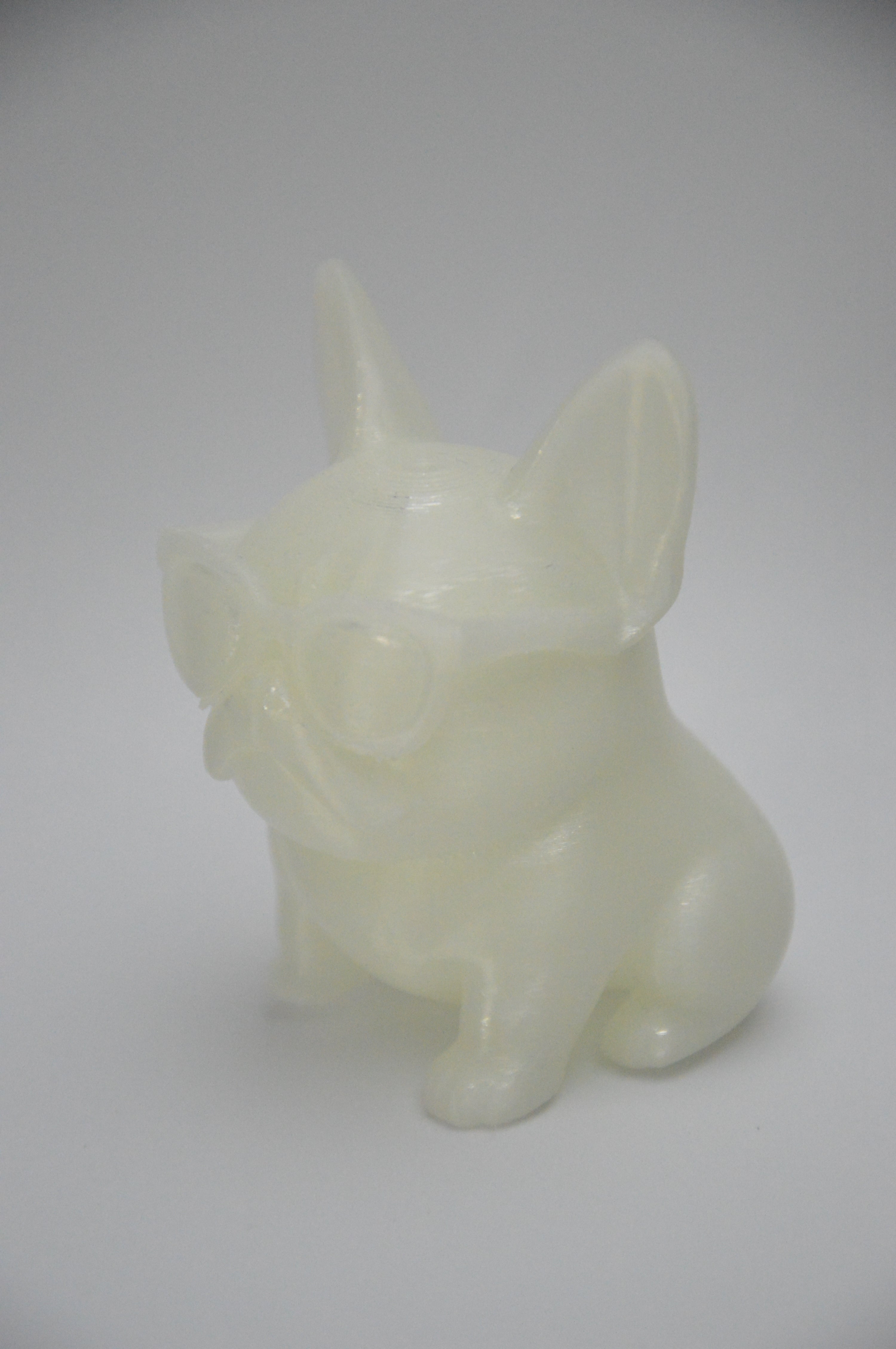 Cão com óculos de sol